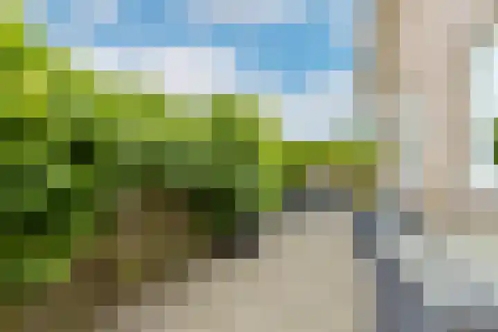 Bronkhorst 8 Andel thumbnail 49