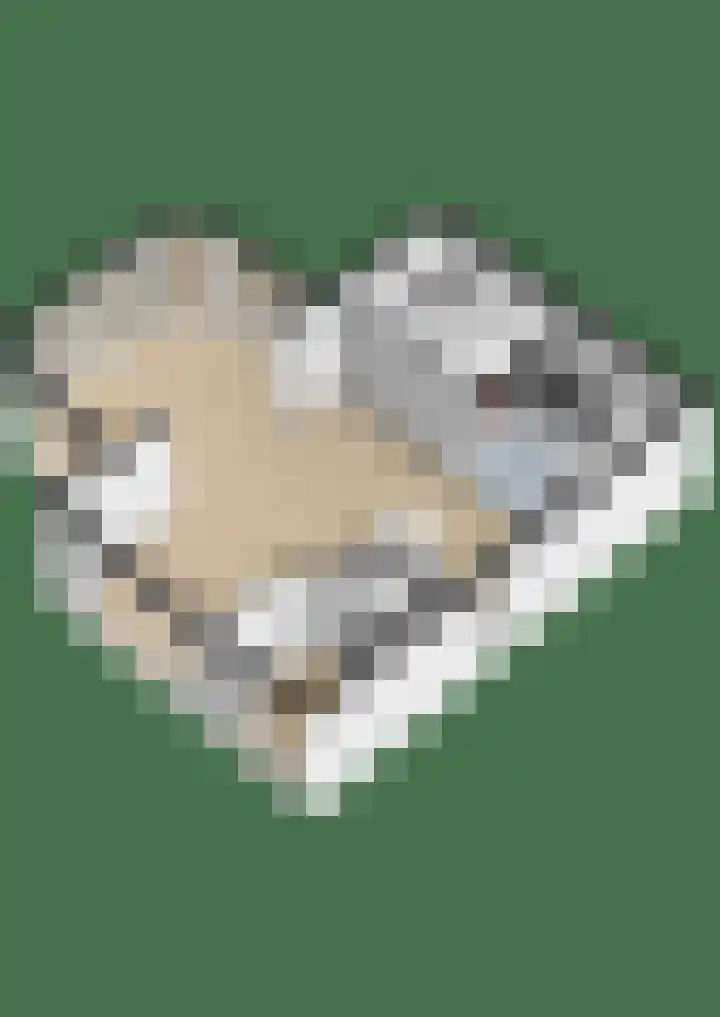 Bronkhorst 8 Andel thumbnail 52
