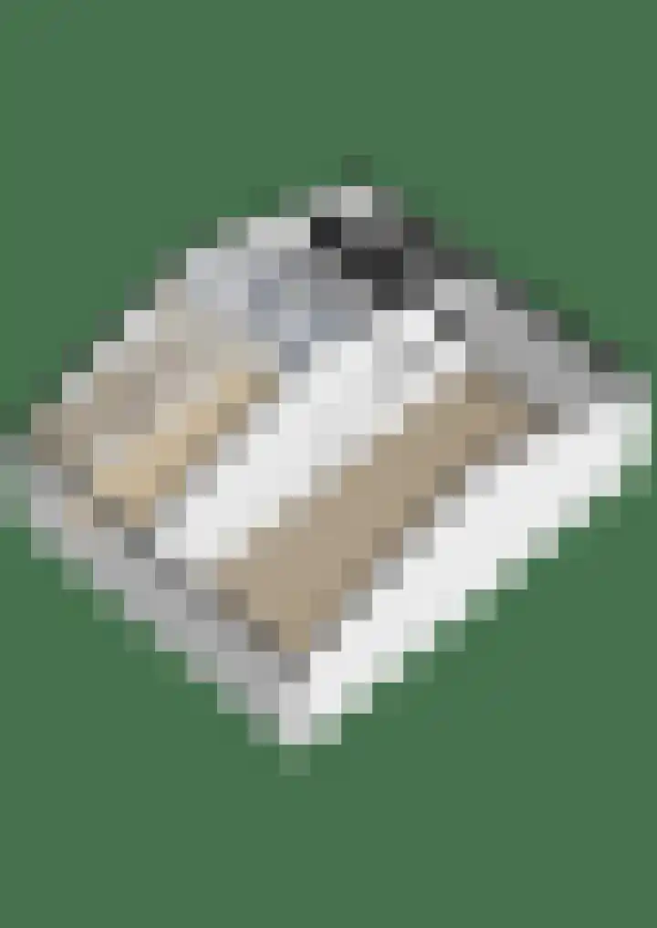 Bronkhorst 8 Andel thumbnail 56