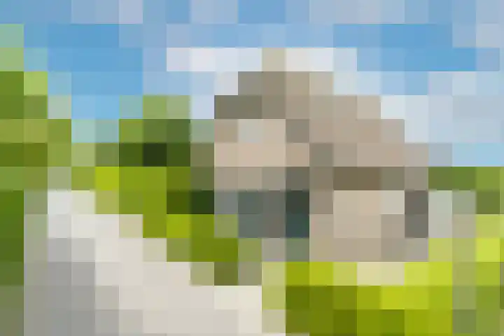 Bronkhorst 8 Andel thumbnail 6
