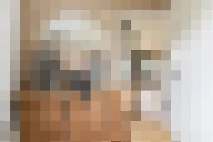 Bronkhorst 8 Andel thumbnail 8