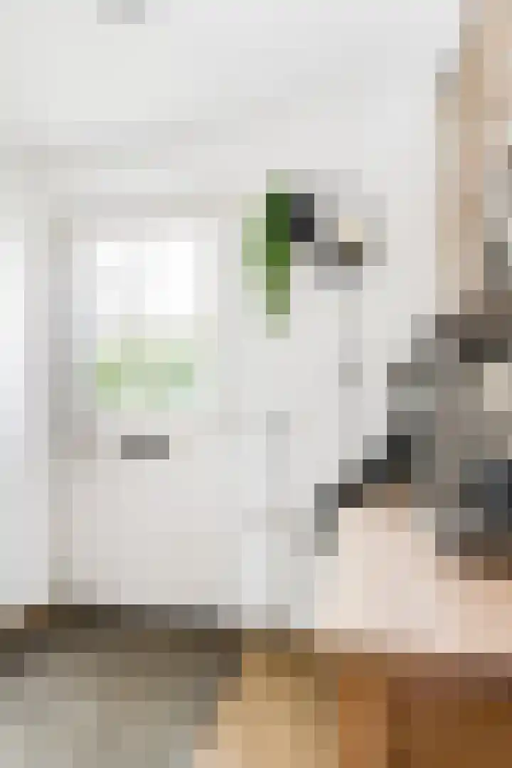 Bronkhorst 8 Andel thumbnail 9