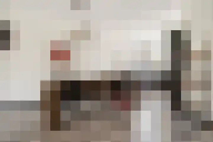 Bronkhorsterslag 2 Didam thumbnail 12