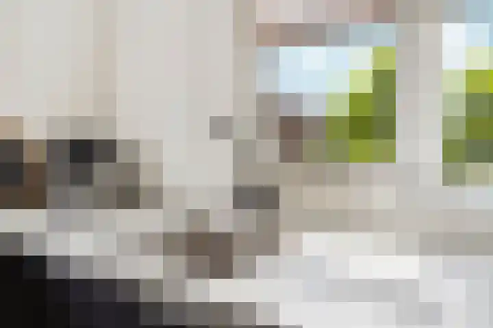 Bronkhorsterslag 2 Didam thumbnail 14