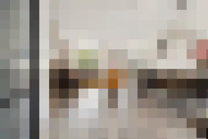 Bronkhorsterslag 2 Didam foto 3
