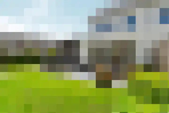 Bronkhorsterslag 2 Didam thumbnail 40