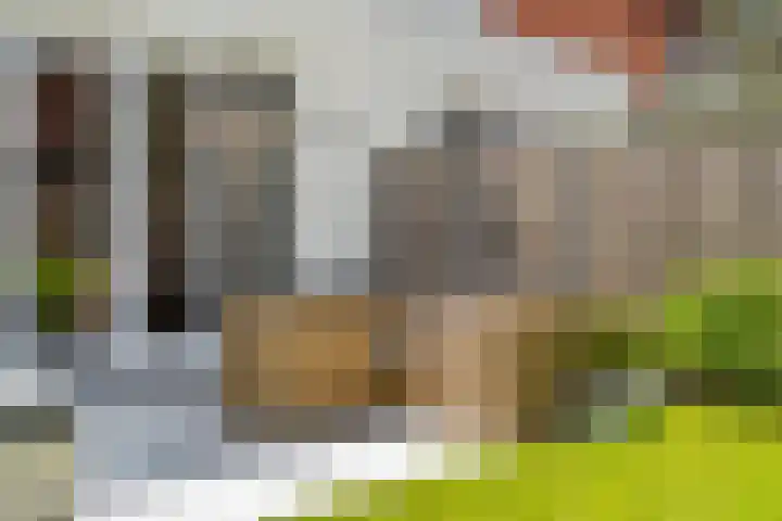 Bronkhorsterslag 2 Didam thumbnail 41