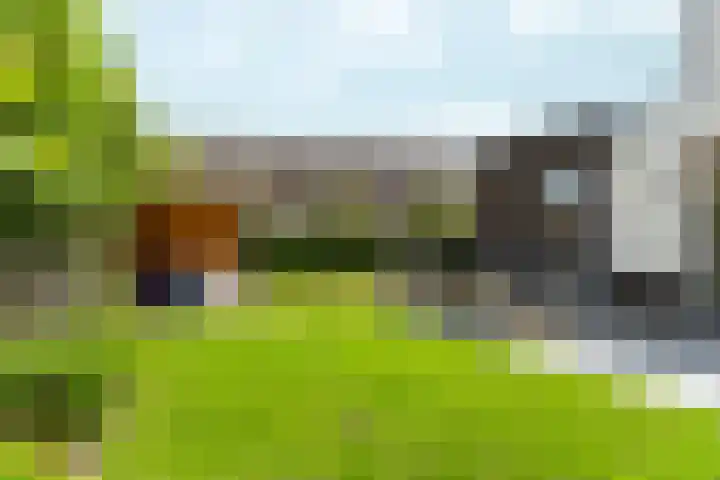 Bronkhorsterslag 2 Didam thumbnail 43