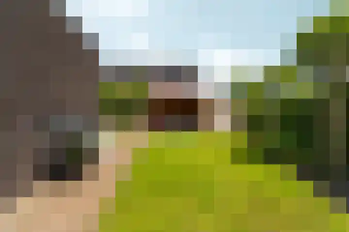 Bronkhorsterslag 2 Didam thumbnail 45