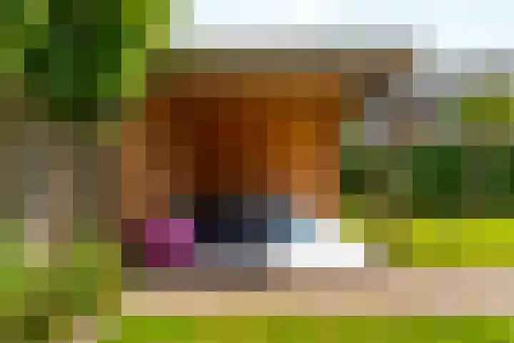 Bronkhorsterslag 2 Didam thumbnail 47
