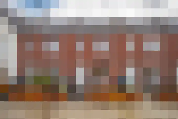 Bronkhorsterslag 20 Didam