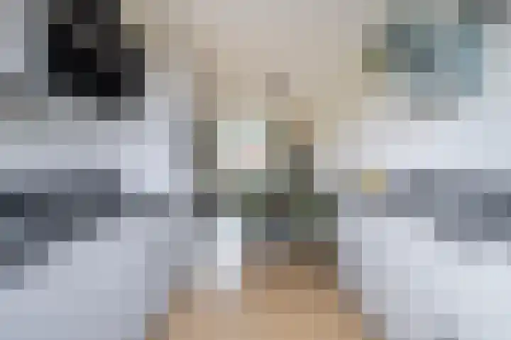 Bronkhorsterslag 20 Didam thumbnail 10