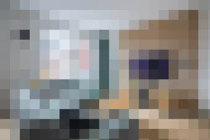 Bronkhorsterslag 20 Didam thumbnail 12