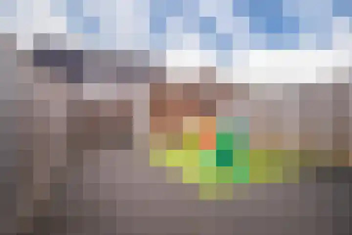 Bronkhorsterslag 20 Didam thumbnail 17
