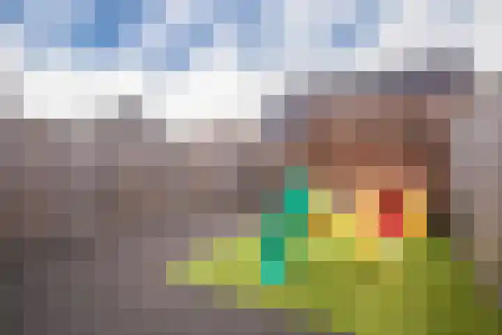 Bronkhorsterslag 20 Didam thumbnail 18
