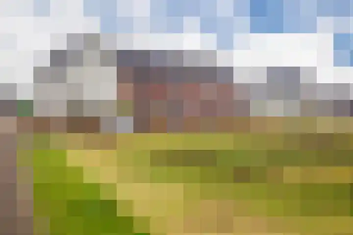 Bronkhorsterslag 20 Didam foto 2