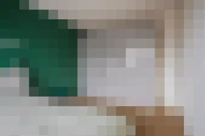 Bronkhorsterslag 20 Didam thumbnail 22