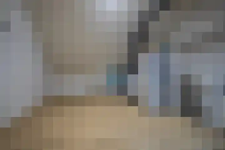 Bronkhorsterslag 20 Didam thumbnail 27