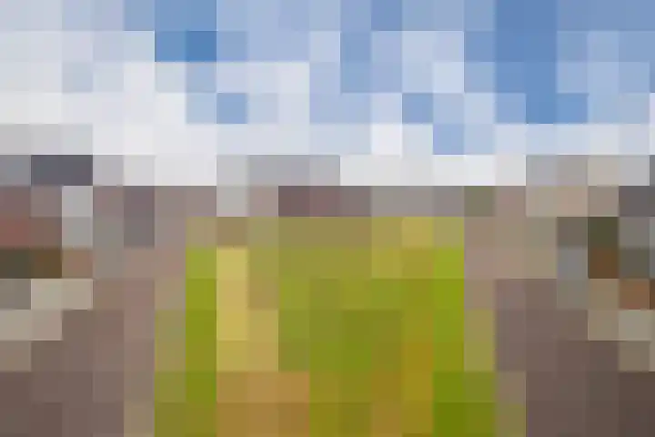 Bronkhorsterslag 20 Didam thumbnail 29