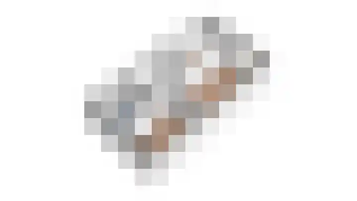 Bronkhorsterslag 20 Didam thumbnail 38