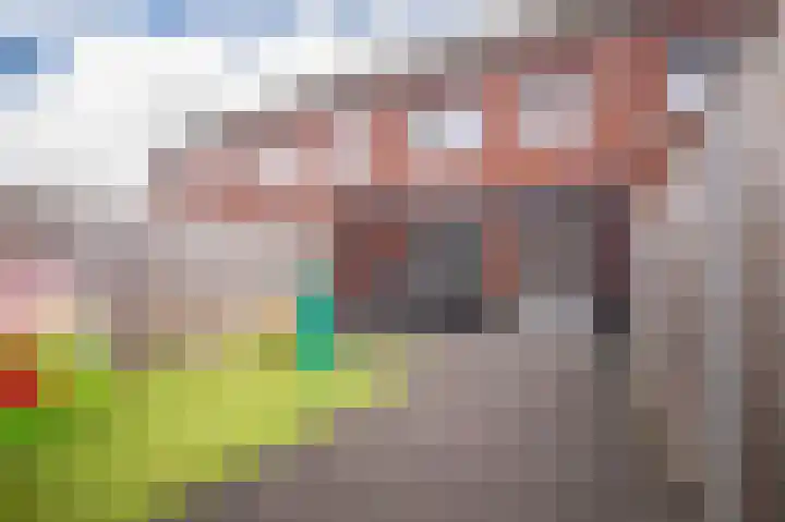 Bronkhorsterslag 20 Didam thumbnail 4