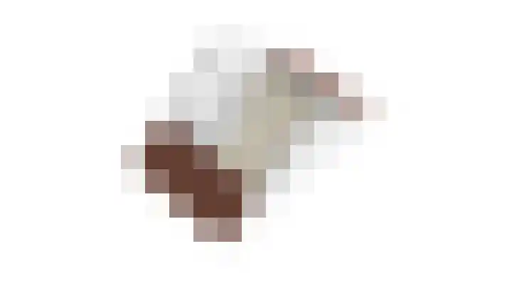 Bronkhorsterslag 20 Didam thumbnail 41