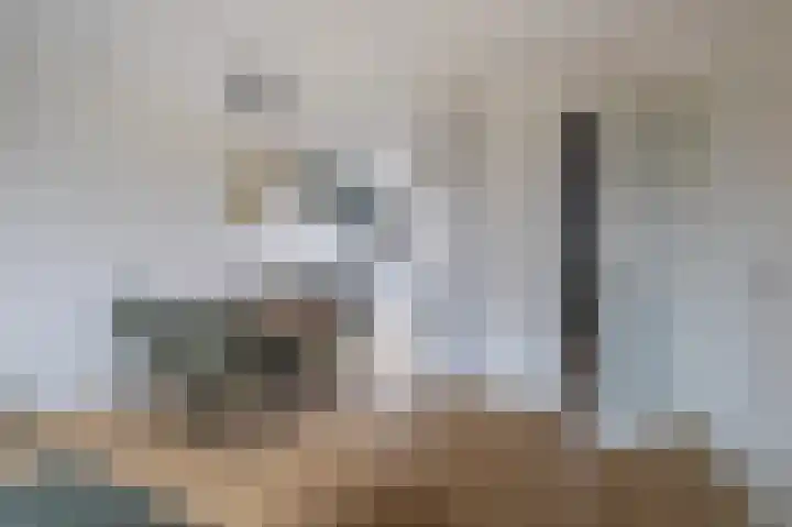 Bronkhorsterslag 20 Didam thumbnail 7