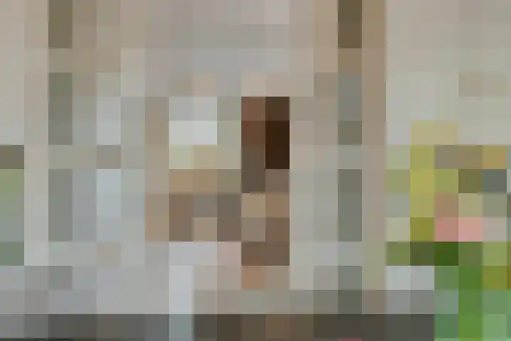 Bronkhorsterweg 3 Steenderen thumbnail 14