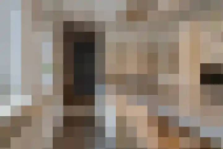 Bronkhorsterweg 3 Steenderen thumbnail 20