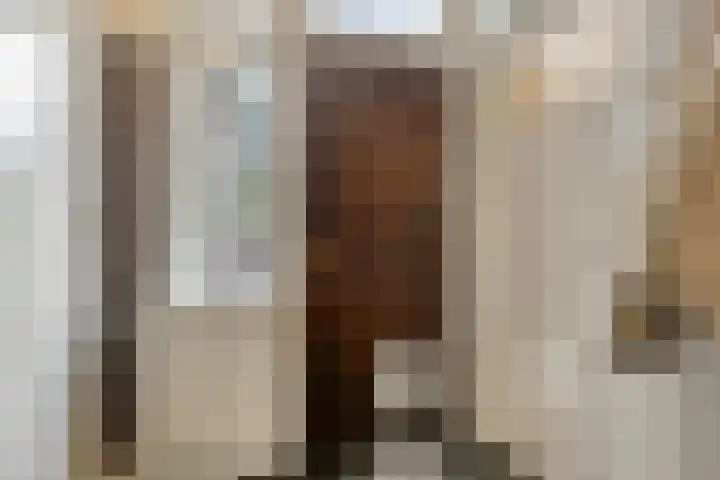 Bronkhorsterweg 3 Steenderen thumbnail 22