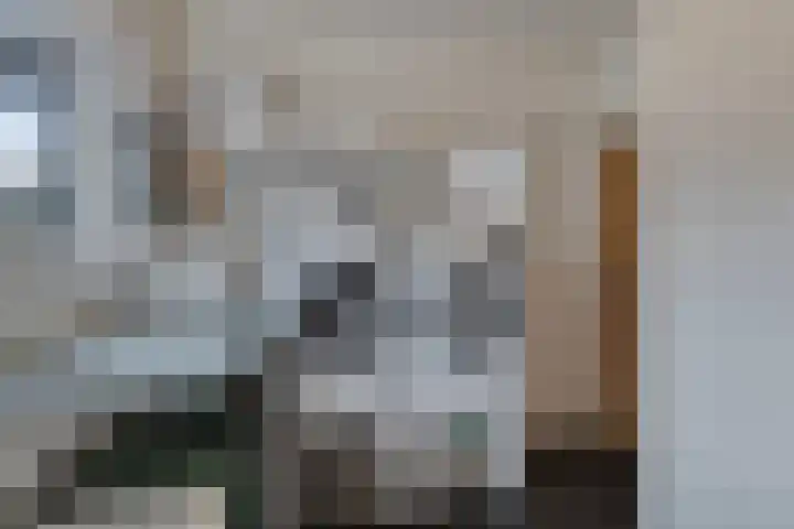 Bronkhorsterweg 3 Steenderen thumbnail 26