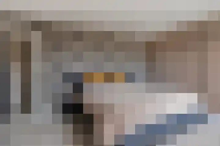 Bronkhorsterweg 3 Steenderen thumbnail 30