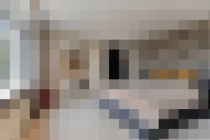 Bronkhorsterweg 3 Steenderen thumbnail 31