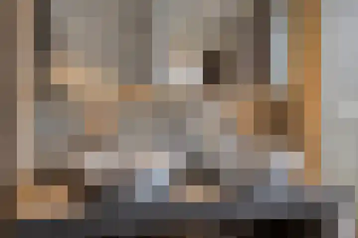 Bronkhorsterweg 3 Steenderen thumbnail 33