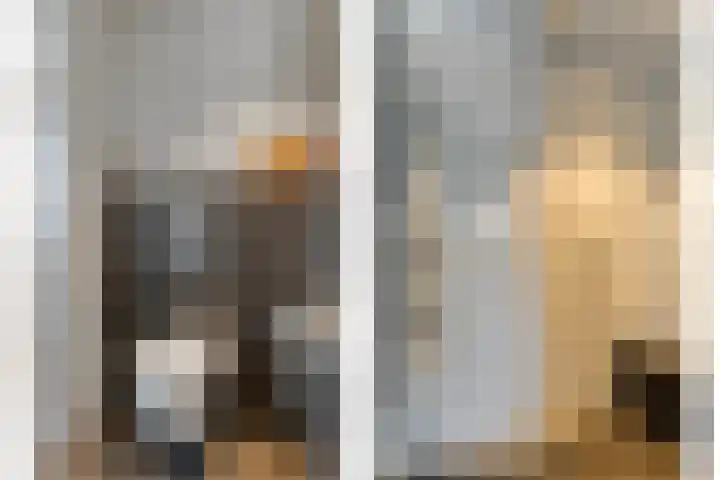 Bronkhorsterweg 3 Steenderen thumbnail 35