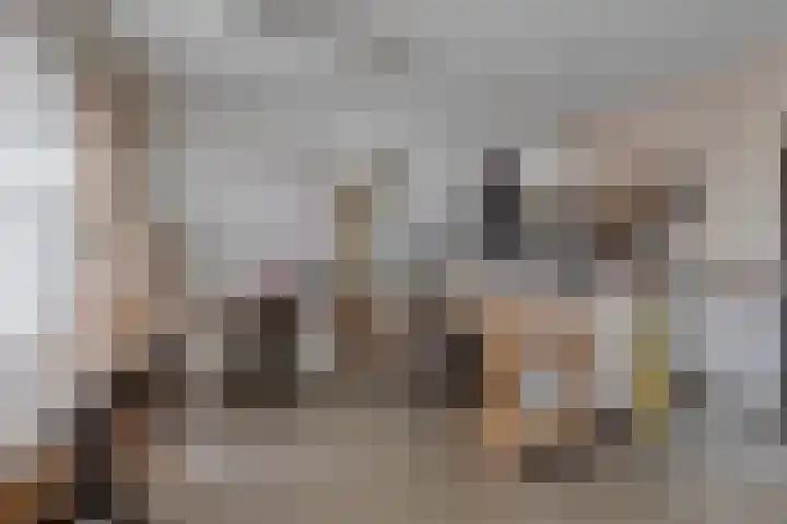 Bronkhorsterweg 3 Steenderen thumbnail 38