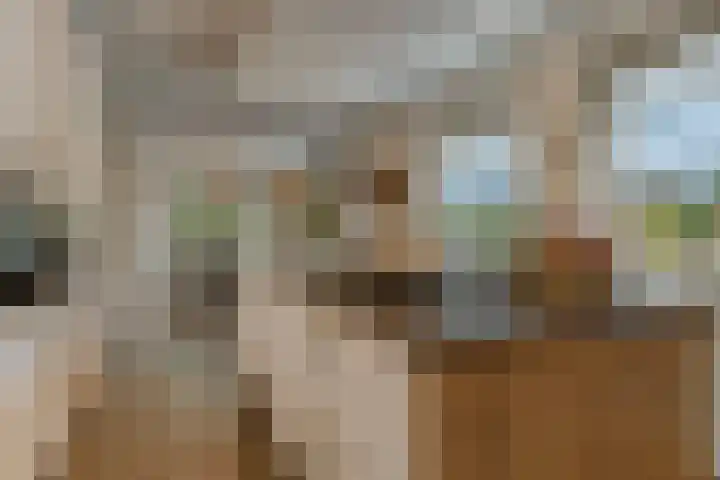Bronkhorsterweg 3 Steenderen thumbnail 4