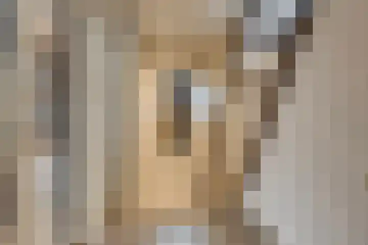 Bronkhorsterweg 3 Steenderen thumbnail 46