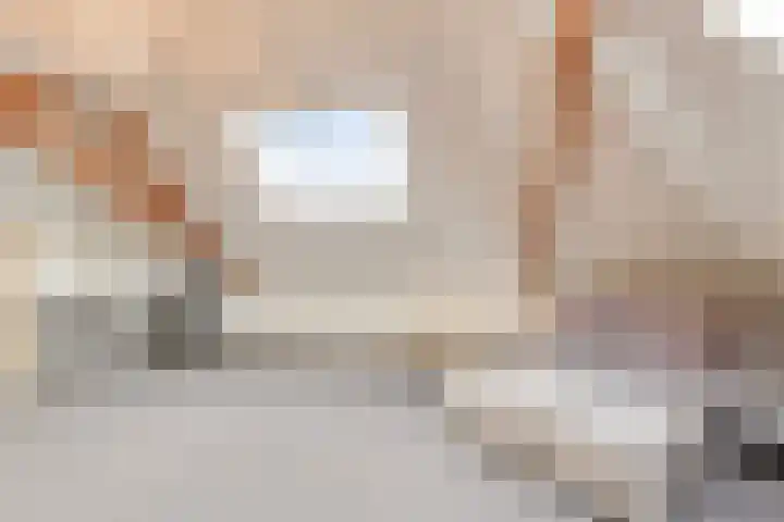 Bronkhorsterweg 3 Steenderen thumbnail 61