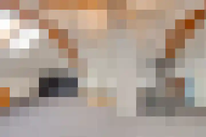 Bronkhorsterweg 3 Steenderen thumbnail 62