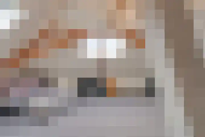 Bronkhorsterweg 3 Steenderen thumbnail 63
