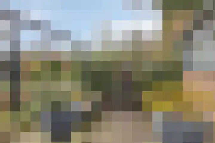 Bronkhorsterweg 3 Steenderen thumbnail 66