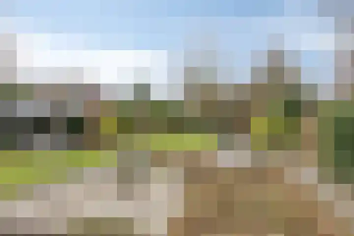 Bronkhorsterweg 3 Steenderen thumbnail 67