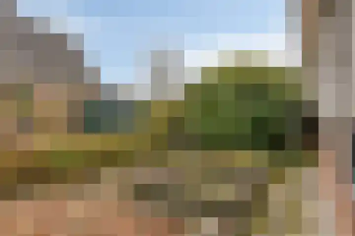 Bronkhorsterweg 3 Steenderen thumbnail 76