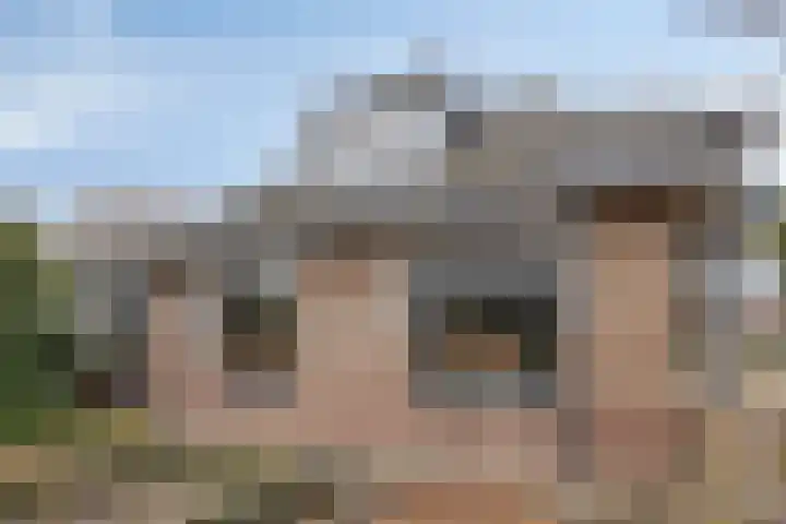 Bronkhorsterweg 3 Steenderen thumbnail 77