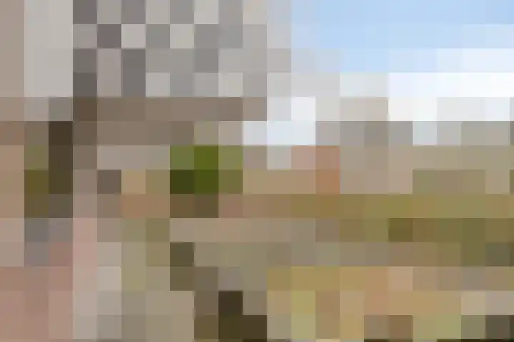 Bronkhorsterweg 3 Steenderen thumbnail 79