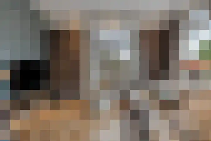 Bronkhorsterweg 3 Steenderen thumbnail 9