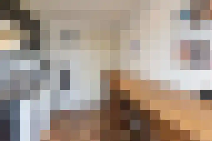 Bronkhorstkamp 15 Eibergen thumbnail 10