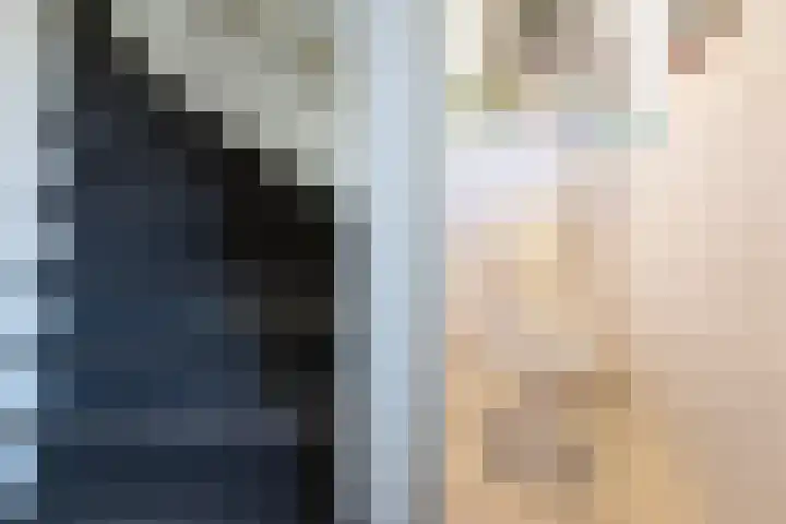 Bronkhorstkamp 15 Eibergen thumbnail 12