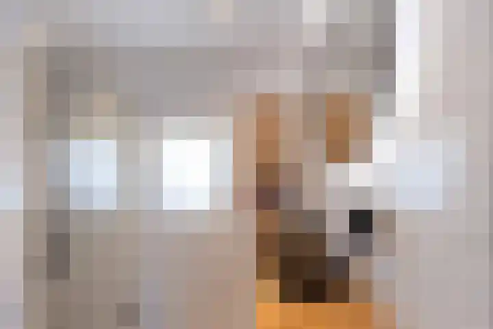 Bronkhorstkamp 15 Eibergen thumbnail 20
